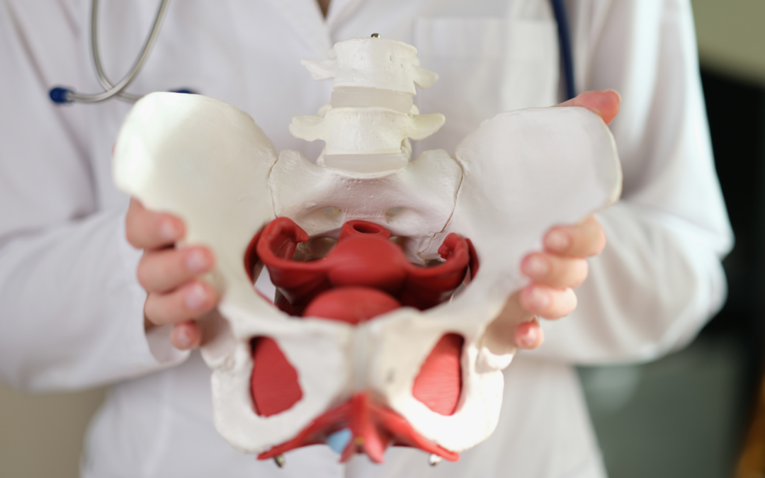 Pelvic Floor Reconstruction Surgeries: Enhancing Quality of Life in Women