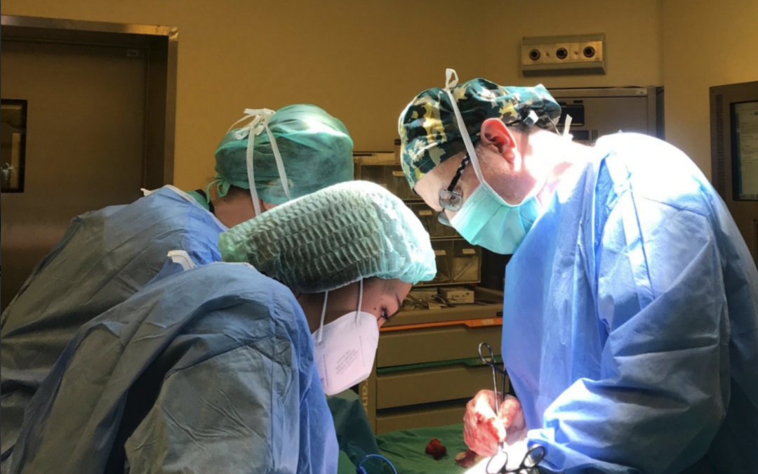 What Is Open Myomectomy? Surgical Removal of Uterine Fibroids via Open Surgery